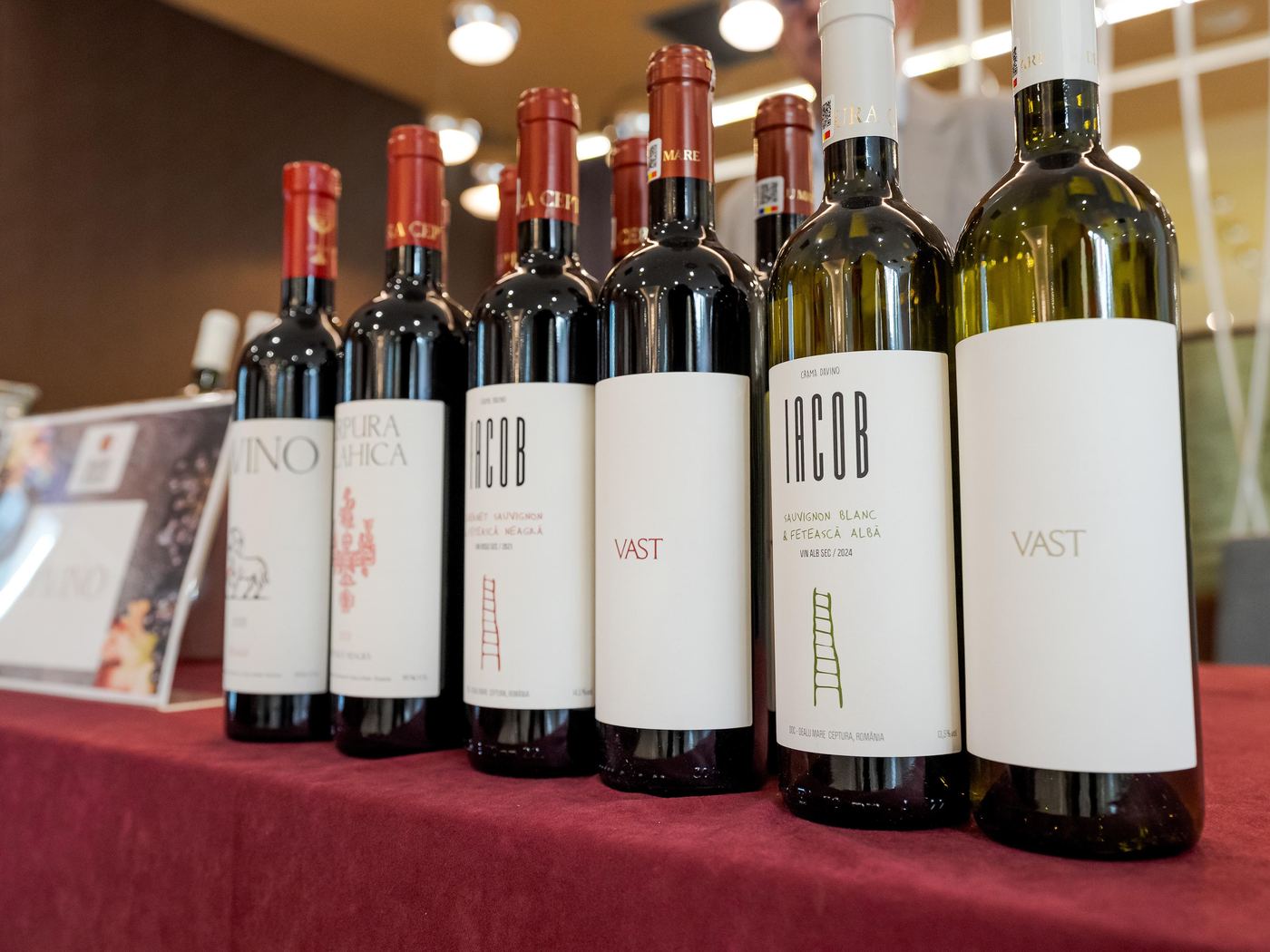 Vinuri expuse și degustări la standurile din Treasures of the East 2025