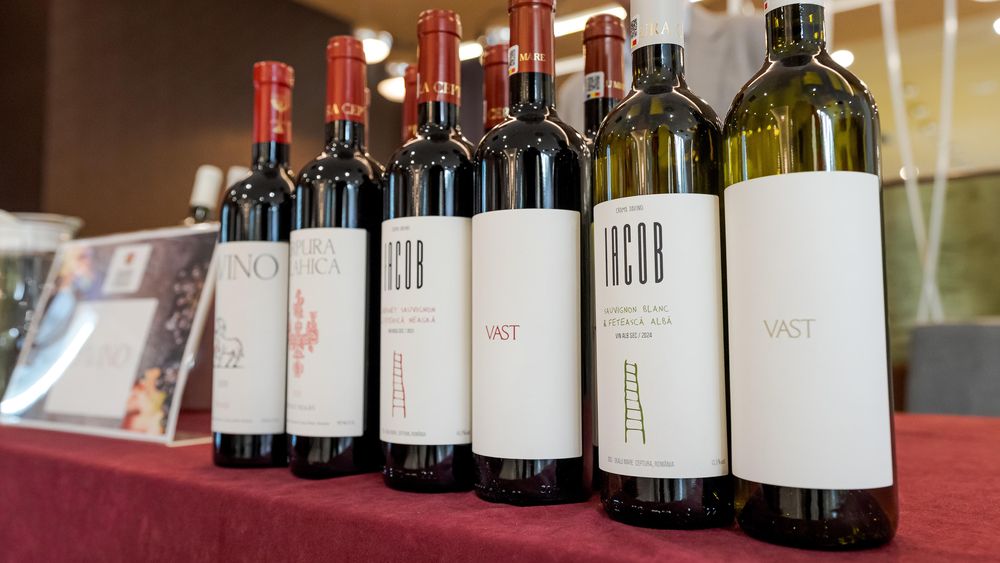 Vinuri expuse și degustări la standurile din Treasures of the East 2025